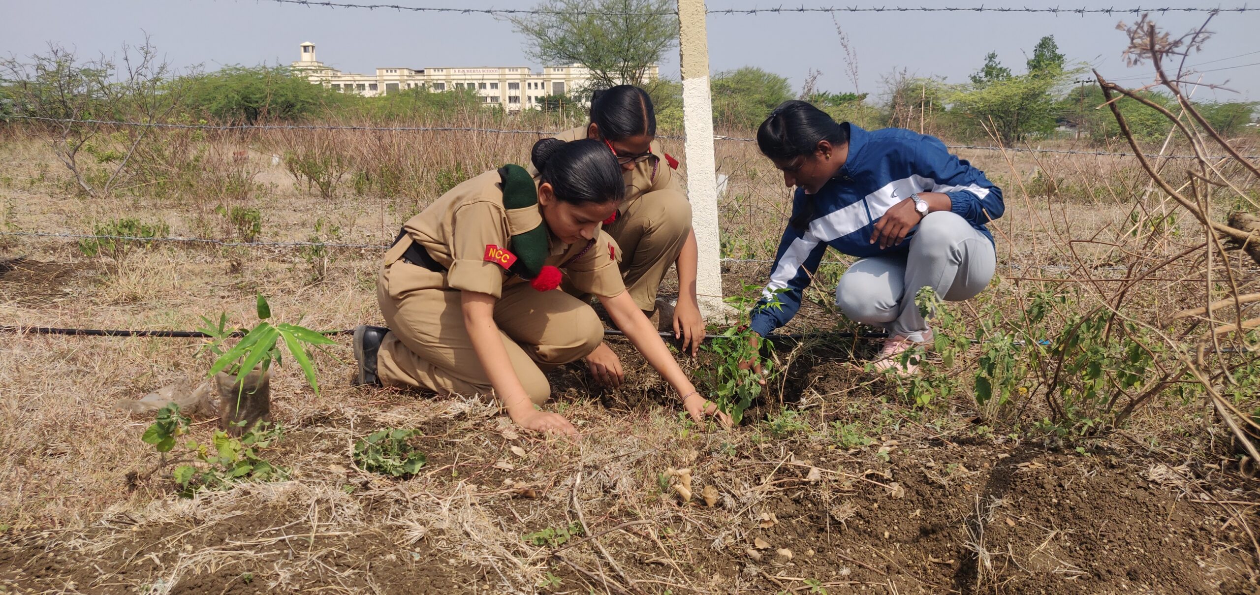 Environment Day — photo 7