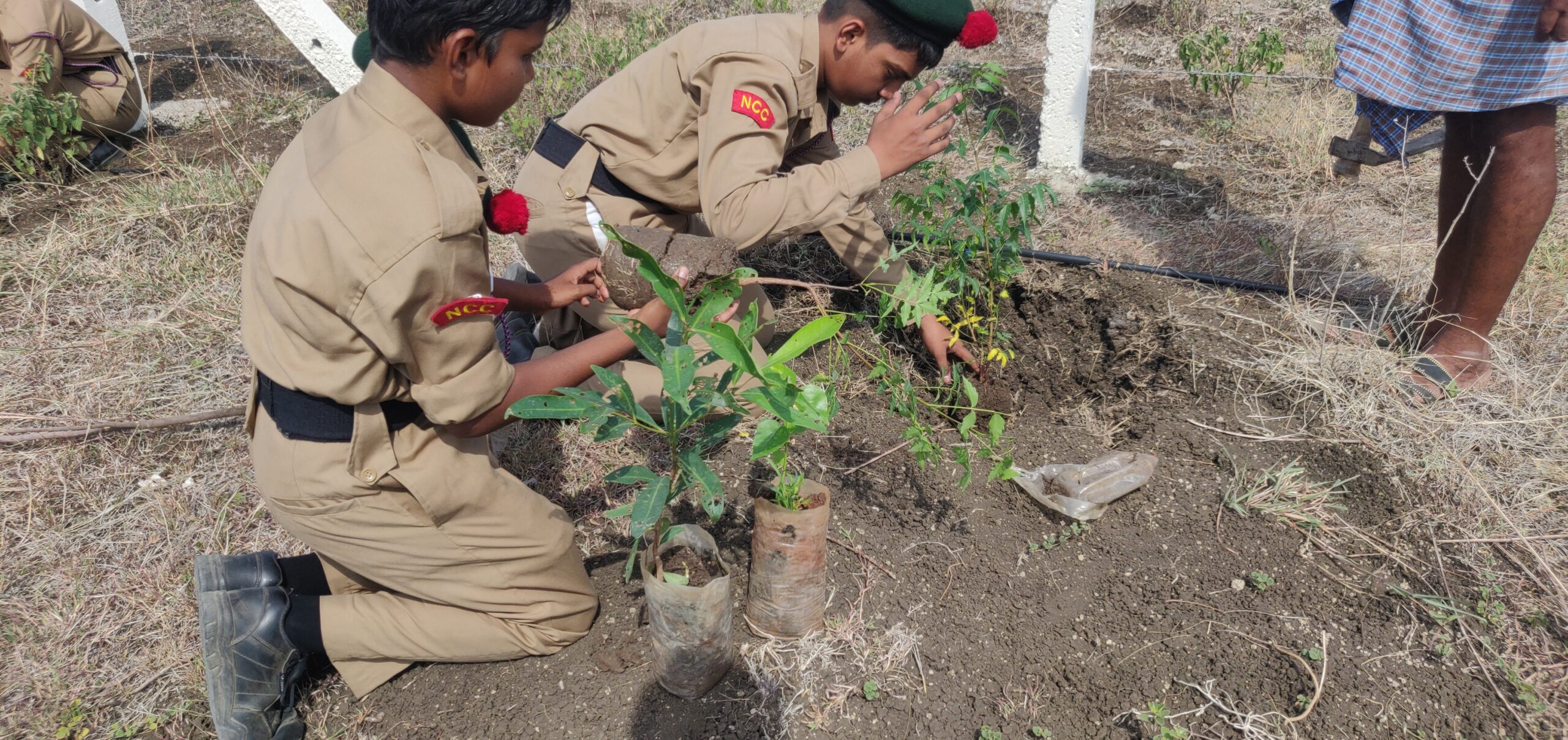 Environment Day — photo 5